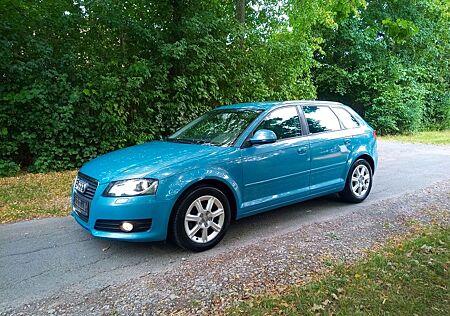 Audi A3 2.0 TDI (DPF) quat. Attraction Sportback ...