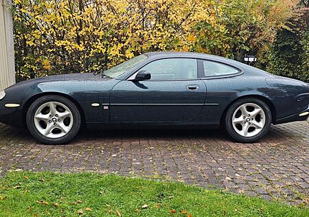 Jaguar XK8 Coupe -