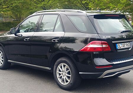 Mercedes-Benz ML 250 BlueTEC 4MATIC 7G-Tronic Euro6 - wenig KM