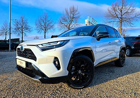 Toyota RAV 4 Hybrid Bi-Tone / ACC / JBL / Leder / 360°