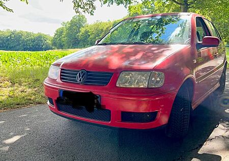VW Polo Volkswagen Rote Perle mit TÜV ! 1.0 Editon