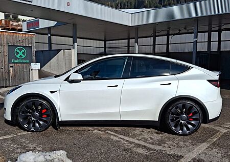 Tesla Model Y Performance Dual Motor AWD Performance