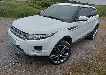 Land Rover Range Rover Evoque 2.2 SD4 Pure Pure
