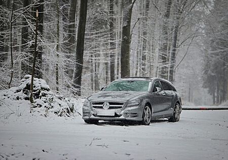 Mercedes-Benz CLS 350 Shooting Brake CLS 350 CDI 4MATIC Sh...