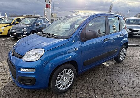 Fiat Panda 1.0 Hybrid SITZHEIZUNG,ALLWETTER,TFT-TACHO
