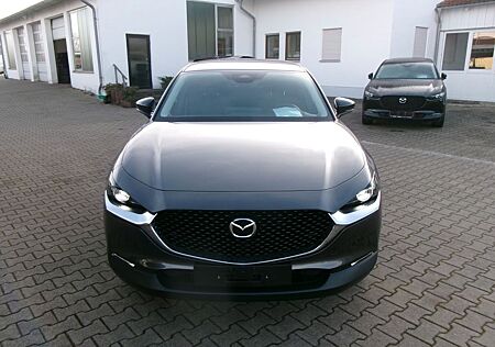 Mazda CX-30 Homura 140 PS