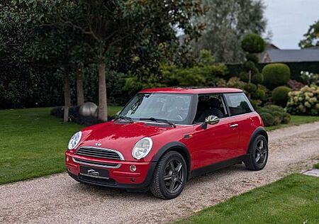 Mini ONE R56 Panoramadach 17Zoll