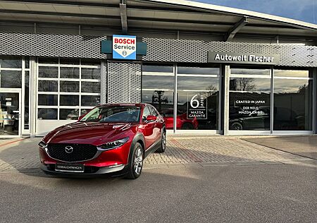 Mazda CX-30 G150 Selection MATRIX/KAMERA/SITZHZG./PDC