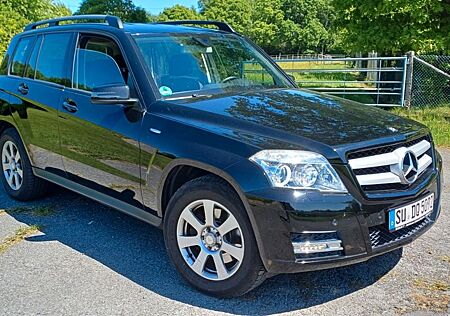 Mercedes-Benz GLK 200 CDI BlueEFFICIENCY -