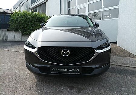 Mazda CX-30 L SKYACTIV-G 2.0 150PS M Hybrid 6AG AL-SEL