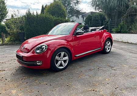 VW Beetle Volkswagen 2.0 TDI BMT Cabriolet in TOP-Zustand