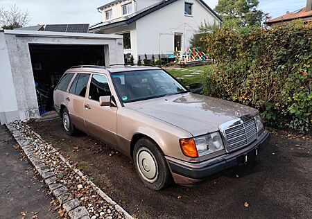 Mercedes-Benz E 220 S124 W124 Kombi Automatik Rosenholz