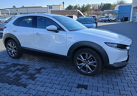 Mazda CX-3 CX-30 100th Anniversary Hybrid