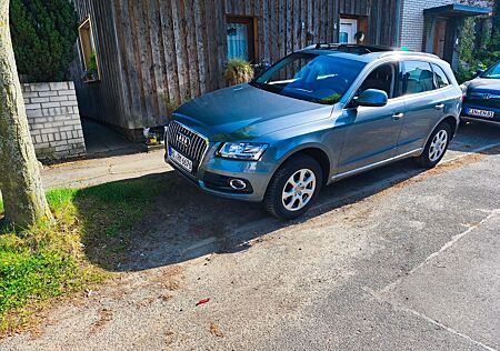 Audi Q5 2.0 TDI Keyless Go Panorama Alcanta