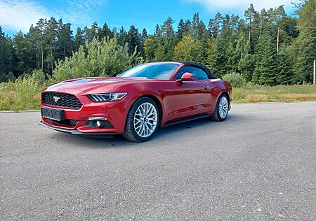 Ford Mustang Basis Convertible