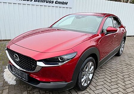 Mazda CX-30 Exklusive-Line Tageszulassung