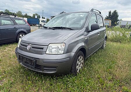 Fiat Panda 1.2 KAT NUR GEWERBE EXPORT