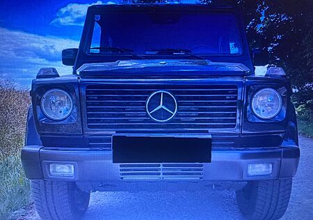 Mercedes-Benz G 270 CDI Station Wagon Lang -