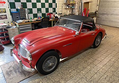 Austin Healey 2-Sitzer im Erstlack ,BN6, rostfrei