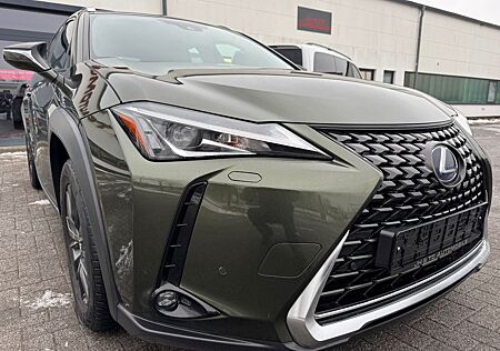 Lexus UX UX250h/ACC/LEDER/NAVI/SITZH/LED/CARPLAY/DAB/PDC/