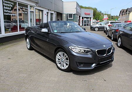 BMW 220 d Cabrio, Navi Xenon Teilleder Tüv: 9/2026