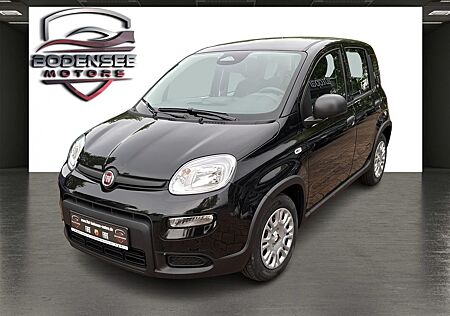 Fiat Panda Pandina