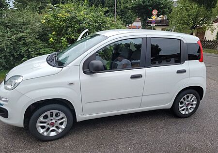 Fiat New Panda 1.2 8V MORE MORE