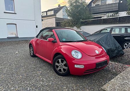 VW Beetle Volkswagen Cabriolet