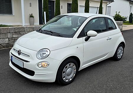 Fiat 500 1.2 8V / 1. Hand / Top Zustand