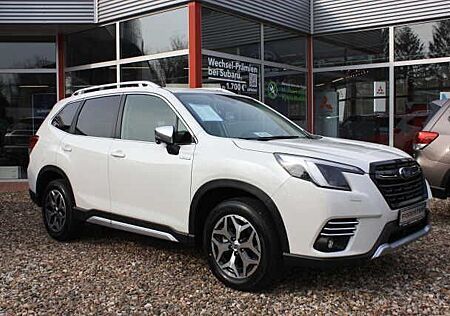 Subaru Forester gebraucht kaufen Subaru Forester Comfort 2.0 iE MY23
