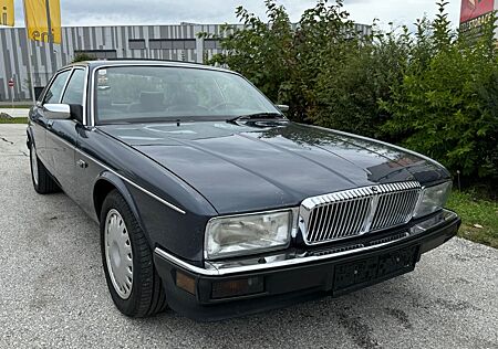 Jaguar XJ40 Daimler mit seltenem Schaltgetriebe