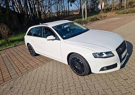 Audi A4 2.0 TDI (DPF) multitr. Ambiente Avant Amb...