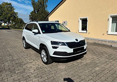 Skoda Karoq Clever AHK/Perleffekt