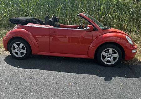VW Beetle Volkswagen