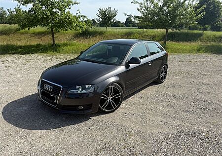 Audi A3 2.0 TDI (DPF) Ambiente Ambiente