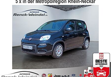 Fiat Panda Base 1.0 GSE DAB Spurhalteass. Verkehrszei