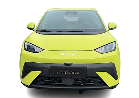 BYD DOLPHIN Surf Boost Alarm Alu DAB Keyless Klima N