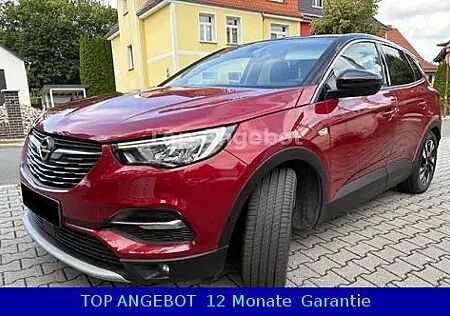 Opel Grandland X Grandland(X) 1.2L,LPG GAS ,Euro6,NAVI,HU/AU NEU