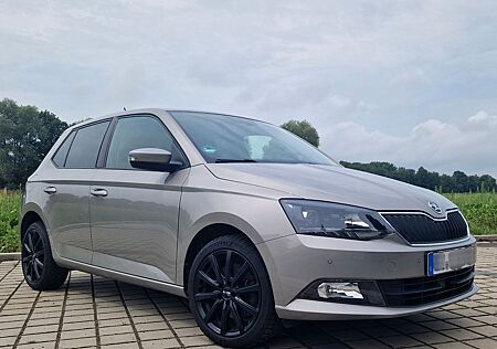 Skoda Fabia 1.2l TSI 81kW gepflegt Top Zustand Alu LED