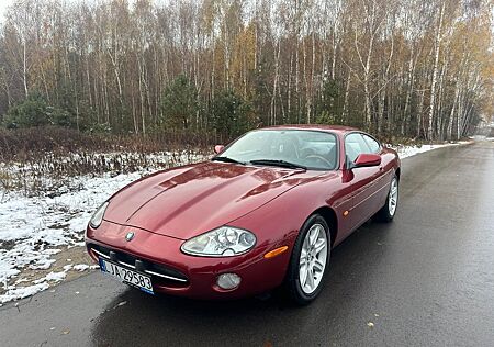 Jaguar XK8 Coupe -