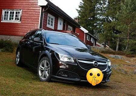 Opel Insignia Country Tourer Insignia CT Country Tourer 2.0 CDTI 125kW Au...