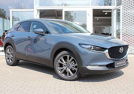 Mazda CX-30 Selection Matrix Freisprech LogIn RFK Spur