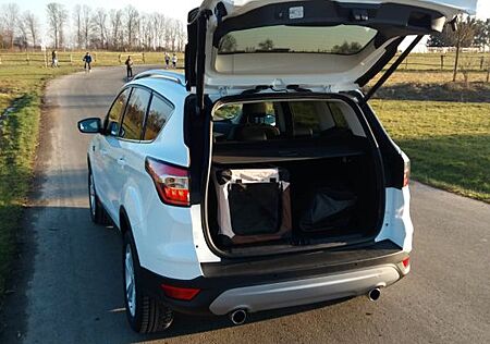 Ford Kuga 1,5 EcoBoost 4x2 110kW Titanium Titanium