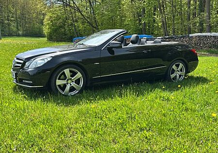 Mercedes-Benz E 350 Cabriolet CDI BlueEFF. ELEGANCE ...