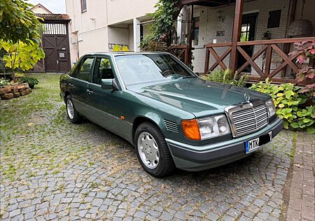 Mercedes-Benz 250 Mercedes Turbodiesel Schalter und Rostfrei!