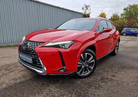 Lexus UX 250h Luxury Line HUD ESD Leder Panodach Navi