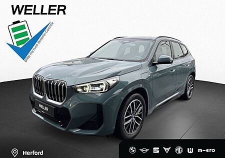 BMW X1 xDr25e MSport SiHz PaAss adap.LED RFK Shadow