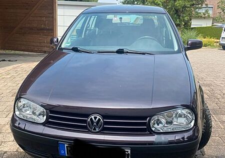 VW Golf Volkswagen 1.4 Basis