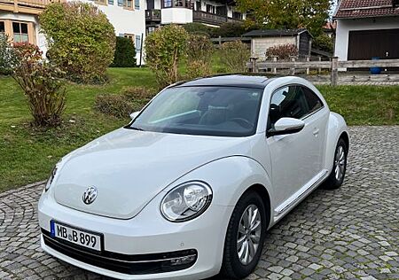 VW Beetle Volkswagen 1.2 TSI - 2.Hand/Pano/Voll-Leder/PDC/WR