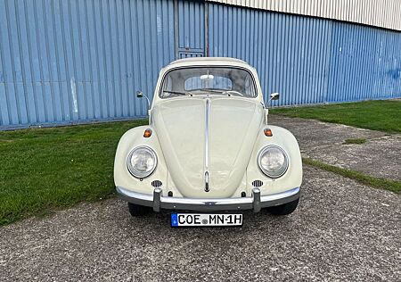 VW Käfer gebraucht kaufen VW Käfer Volkswagen